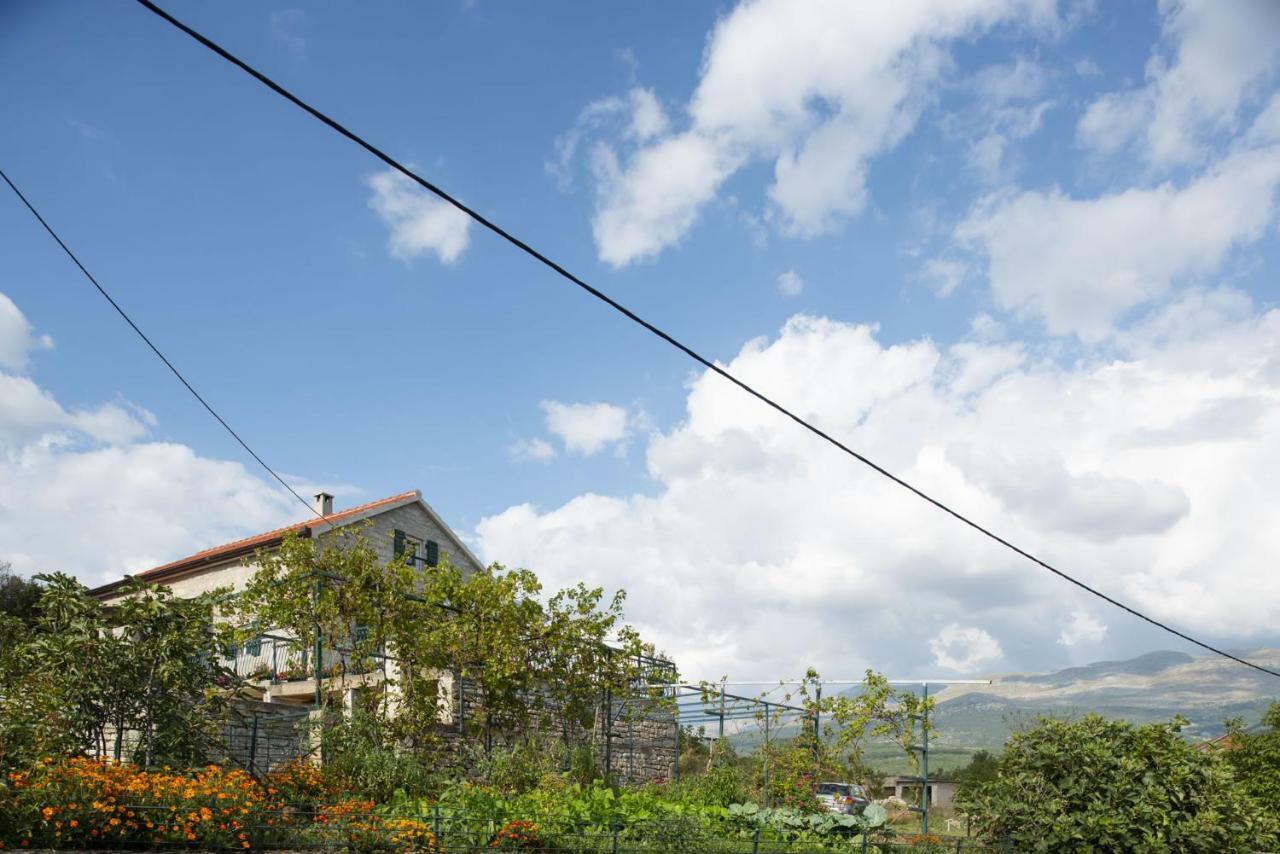 Villa Cetina Milasi Exterior foto